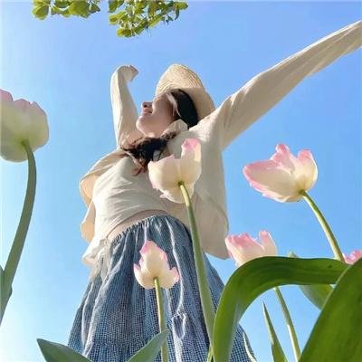 国际桥牌社 第二季